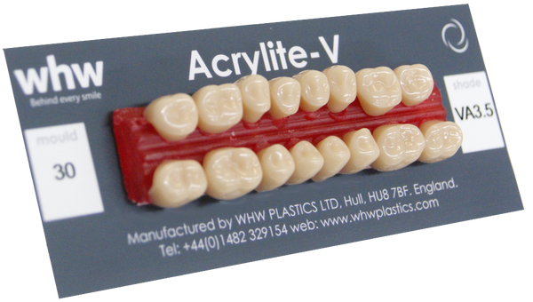Acrylite Posterior Teeth - Excess Consignment