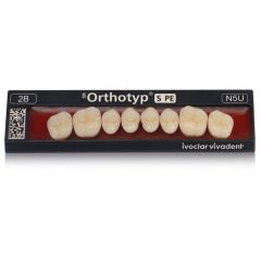 ⚠️ SR Orthotyp S PE Posterior Teeth