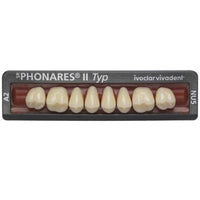 ⚠️ SR Phonares II Posterior Teeth