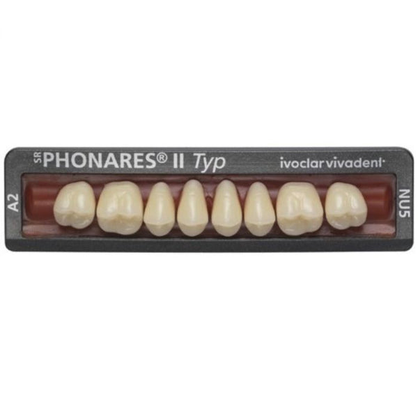 ⚠️ SR Phonares II Posterior Teeth