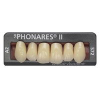 ⚠️ SR Phonares II Anterior Teeth