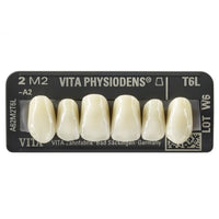 ⚠️ Physioden 3D Anterior Teeth