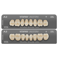 ⚠️ Vitapan Lingoform Posterior Teeth