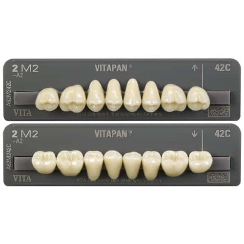 ⚠️ Vitapan Posterior Teeth