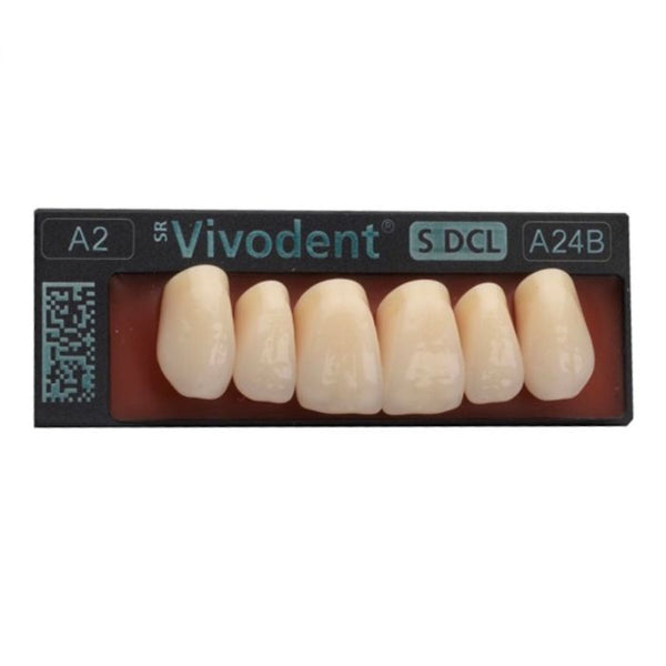 ⚠️ SR Vivodent S DCL Anterior Teeth