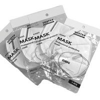 Protection+ KN95/FFP2 Disposable Face Mask